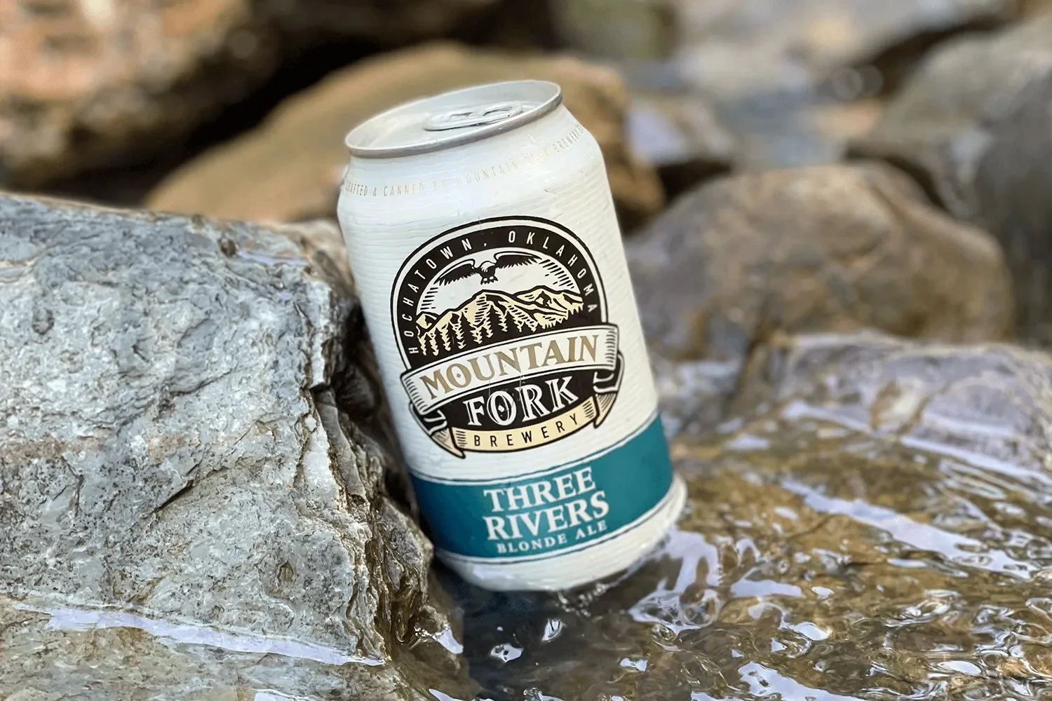 Mountain Fork Brewery can lineup